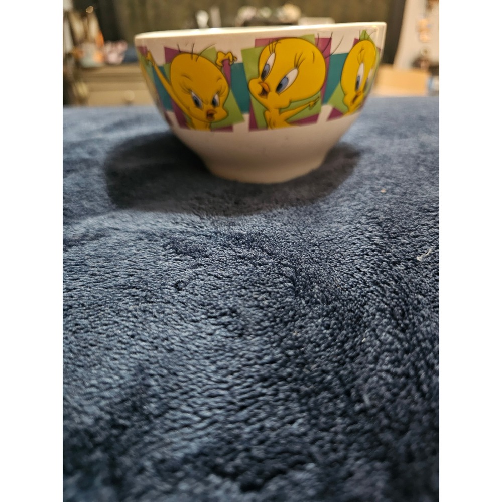 Vintage Six Flags Tweety Bird Ceramic Bowl Looney Tunes Warner Bros 2002 White